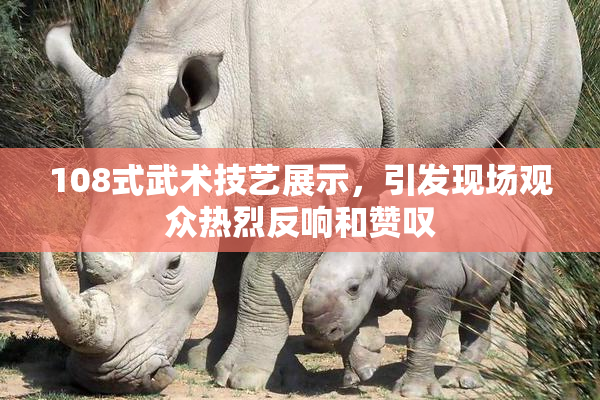 108式武术技艺展示，引发现场观众热烈反响和赞叹