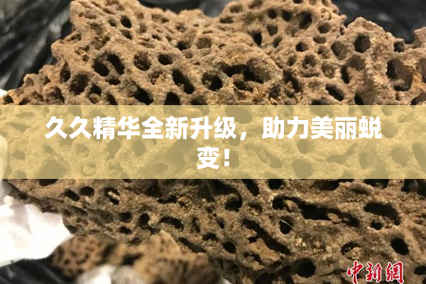 久久精华全新升级，助力美丽蜕变！
