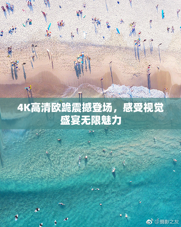 4K高清欧跪震撼登场，感受视觉盛宴无限魅力