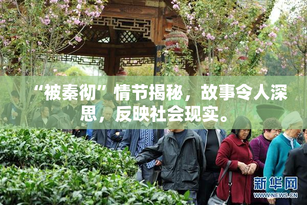 “被秦彻”情节揭秘，故事令人深思，反映社会现实。
