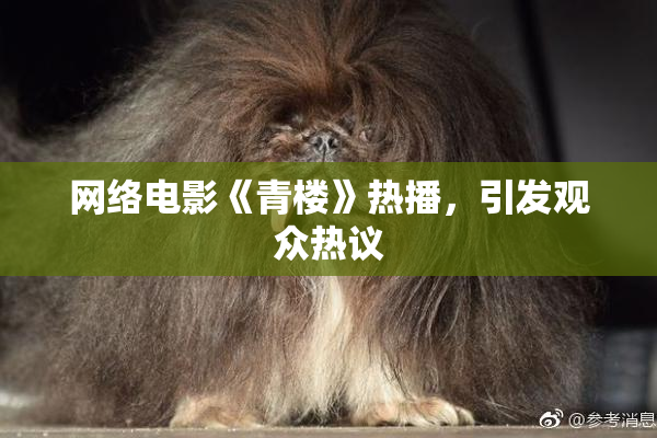 网络电影《青楼》热播，引发观众热议