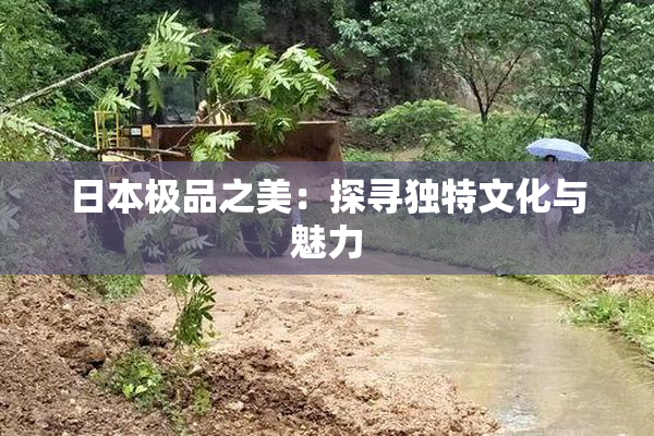 日本极品之美：探寻独特文化与魅力