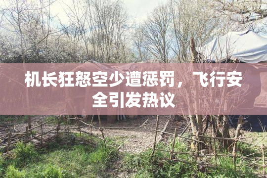 机长狂怒空少遭惩罚，飞行安全引发热议