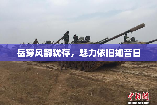 岳穿风韵犹存，魅力依旧如昔日