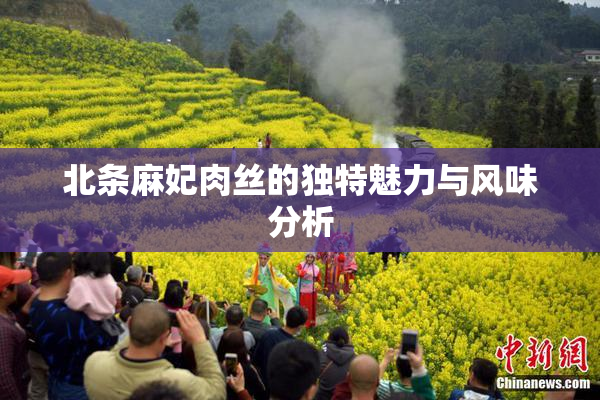 北条麻妃肉丝的独特魅力与风味分析