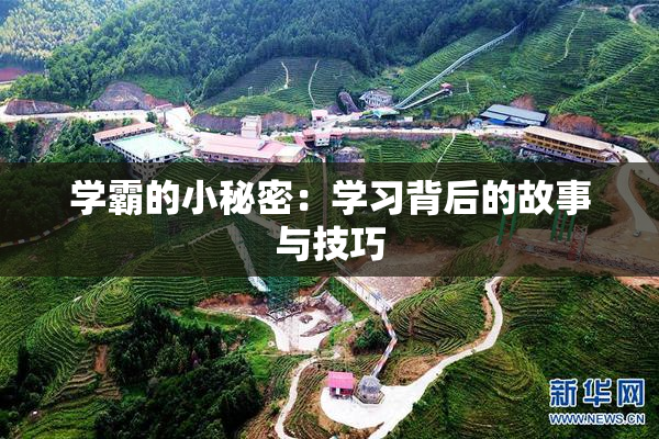 学霸的小秘密：学习背后的故事与技巧