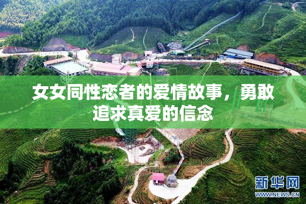 女女同性恋者的爱情故事，勇敢追求真爱的信念