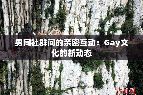 男同社群间的亲密互动：Gay文化的新动态