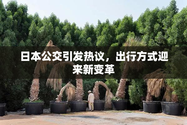 日本公交引发热议，出行方式迎来新变革