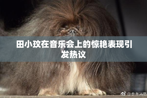 田小玟在音乐会上的惊艳表现引发热议