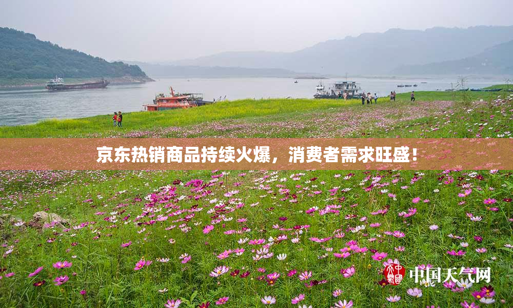 京东热销商品持续火爆，消费者需求旺盛！