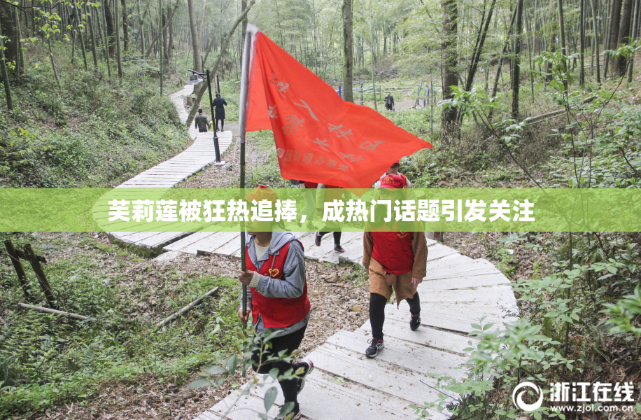 芙莉莲被狂热追捧，成热门话题引发关注