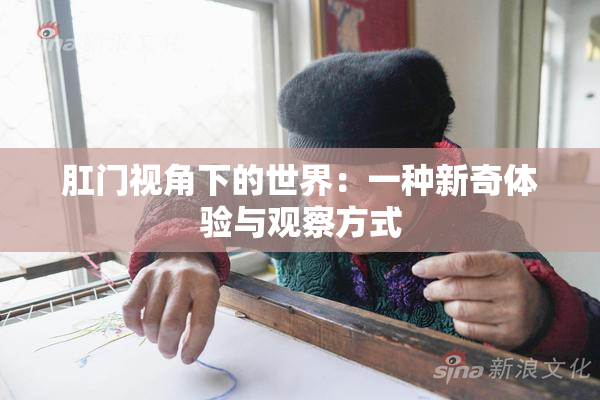 肛门视角下的世界：一种新奇体验与观察方式