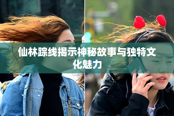 仙林踪线揭示神秘故事与独特文化魅力