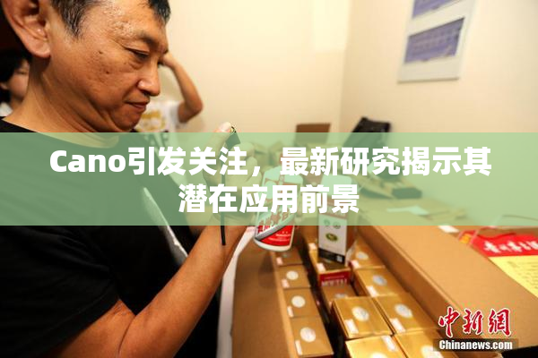 Cano引发关注，最新研究揭示其潜在应用前景