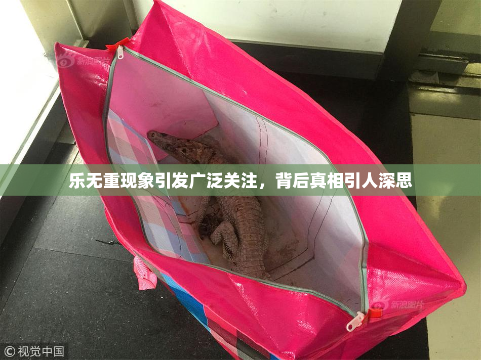 乐无重现象引发广泛关注，背后真相引人深思
