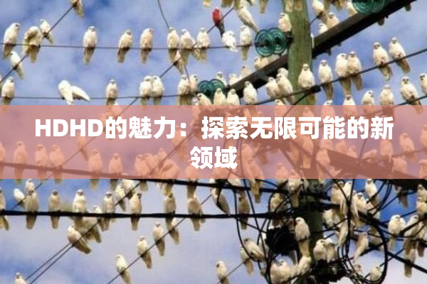 HDHD的魅力：探索无限可能的新领域