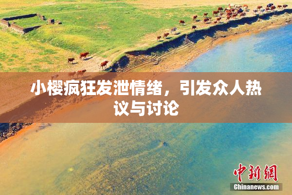 小樱疯狂发泄情绪，引发众人热议与讨论