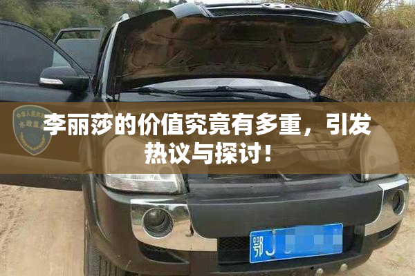 李丽莎的价值究竟有多重，引发热议与探讨！