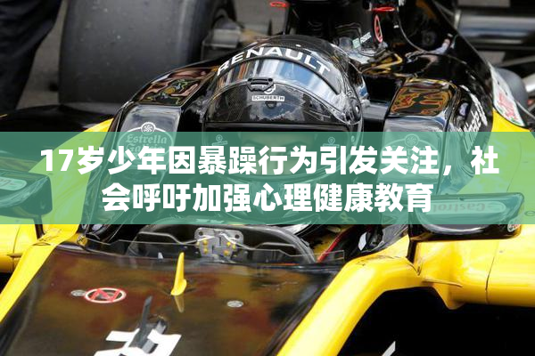 17岁少年因暴躁行为引发关注，社会呼吁加强心理健康教育