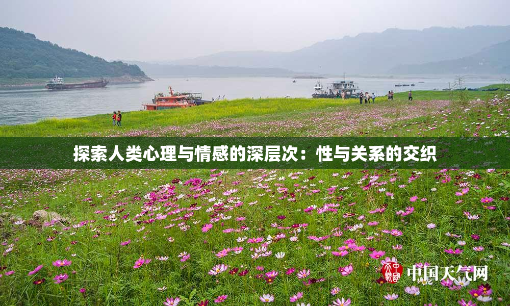 探索人类心理与情感的深层次：性与关系的交织