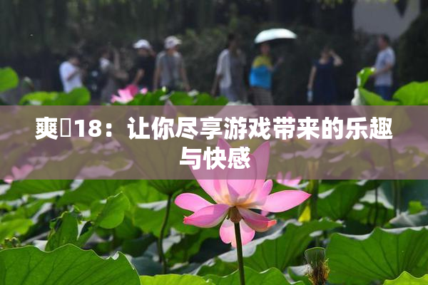 爽擼18：让你尽享游戏带来的乐趣与快感