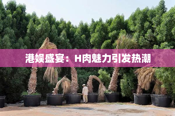 港娱盛宴：H肉魅力引发热潮