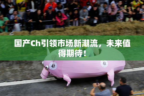 国产Ch引领市场新潮流，未来值得期待！