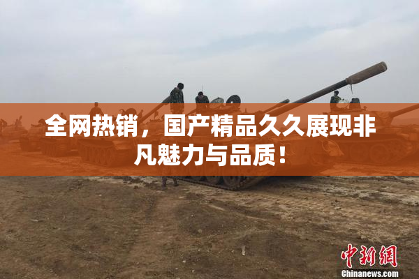 全网热销，国产精品久久展现非凡魅力与品质！