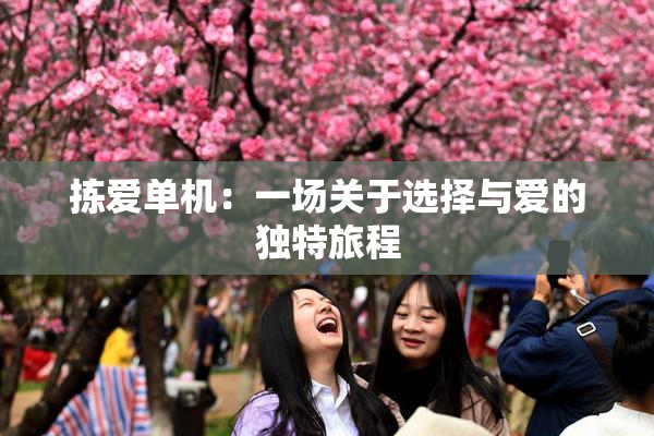 拣爱单机：一场关于选择与爱的独特旅程