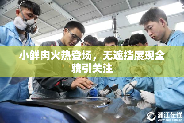 小鲜肉火热登场，无遮挡展现全貌引关注
