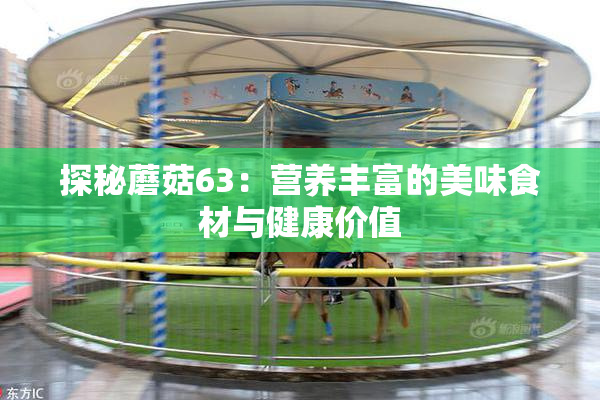 探秘蘑菇63：营养丰富的美味食材与健康价值