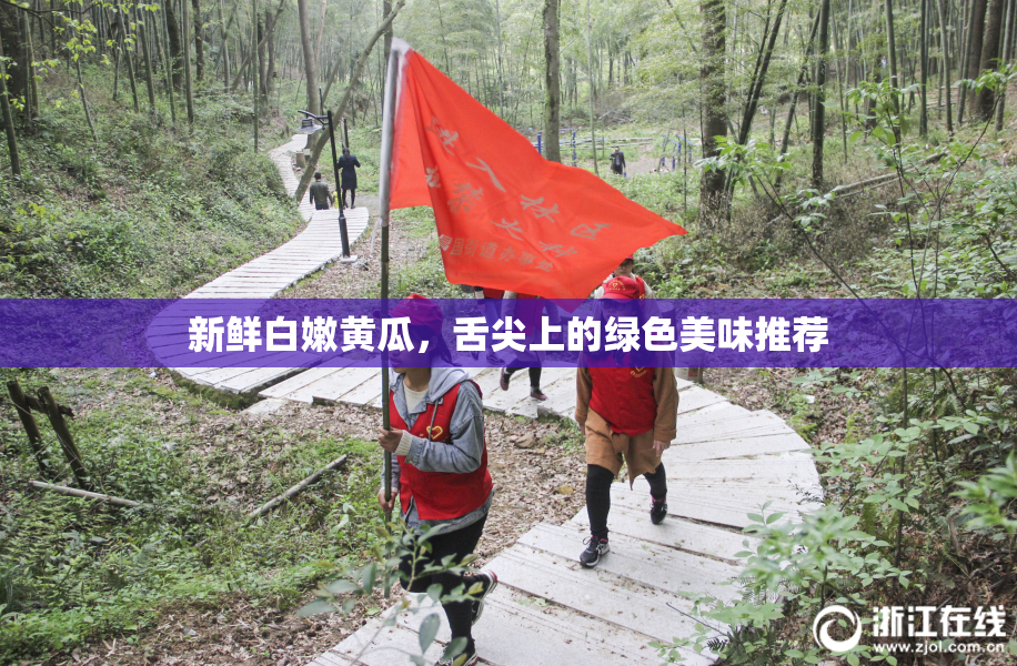 新鲜白嫩黄瓜，舌尖上的绿色美味推荐