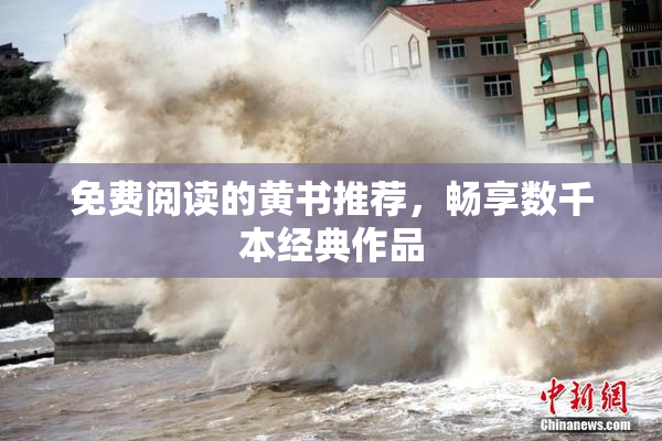 免费阅读的黄书推荐，畅享数千本经典作品