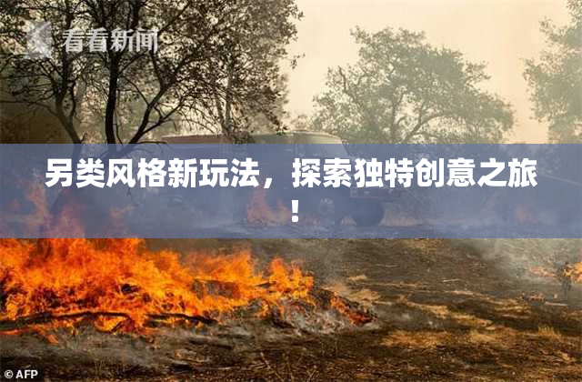 另类风格新玩法，探索独特创意之旅！