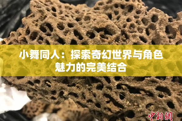 小舞同人：探索奇幻世界与角色魅力的完美结合