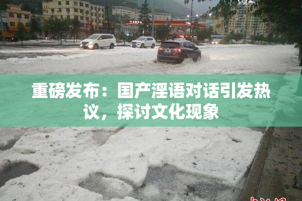 重磅发布：国产淫语对话引发热议，探讨文化现象