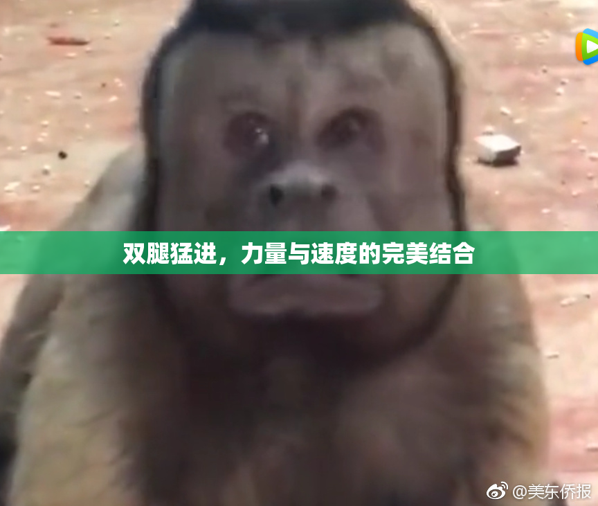 双腿猛进，力量与速度的完美结合
