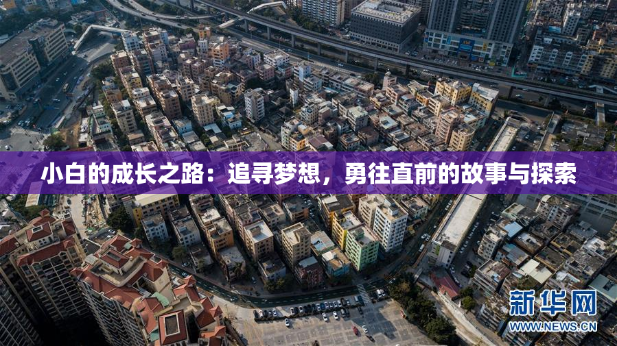 小白的成长之路：追寻梦想，勇往直前的故事与探索