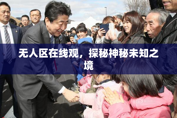 无人区在线观，探秘神秘未知之境