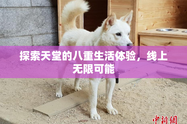 探索天堂的八重生活体验，线上无限可能