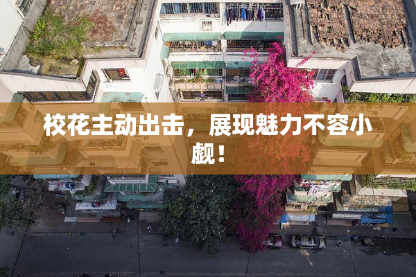 校花主动出击，展现魅力不容小觑！