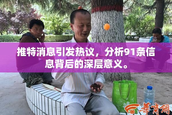 推特消息引发热议，分析91条信息背后的深层意义。