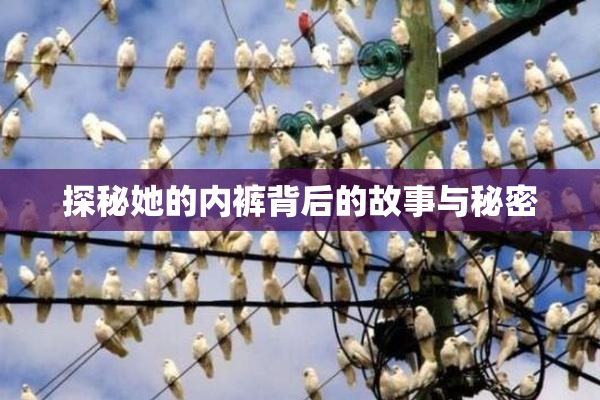 探秘她的内裤背后的故事与秘密