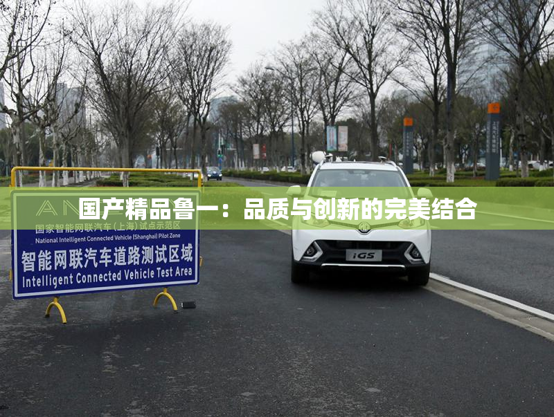 国产精品鲁一：品质与创新的完美结合