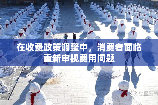 在收费政策调整中，消费者面临重新审视费用问题