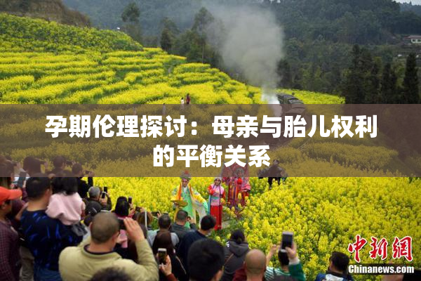 孕期伦理探讨：母亲与胎儿权利的平衡关系