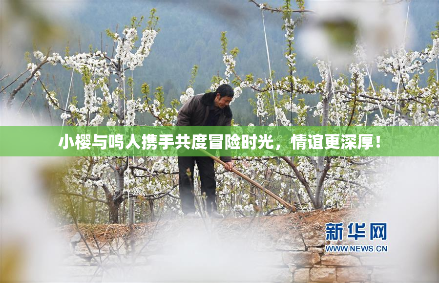 小樱与鸣人携手共度冒险时光，情谊更深厚！