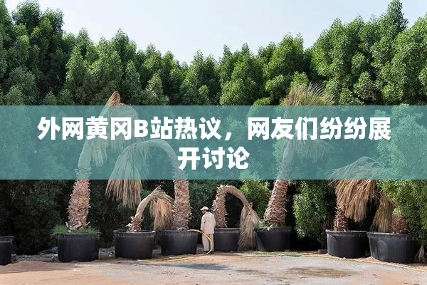 外网黄冈B站热议，网友们纷纷展开讨论