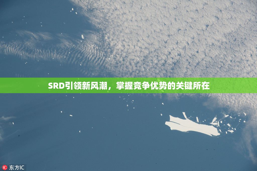 SRD引领新风潮，掌握竞争优势的关键所在